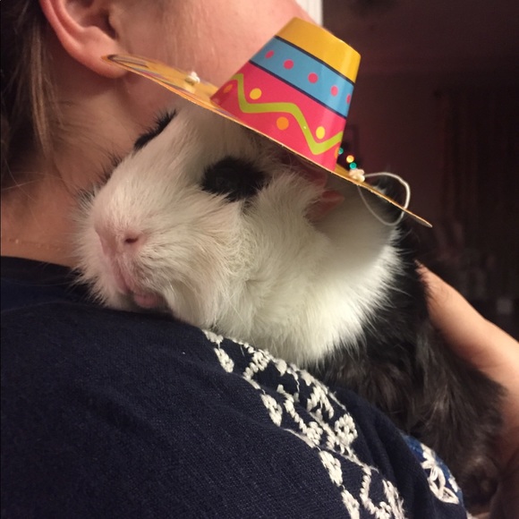 Meet your Posher, Autumn - Picture 3 of 4